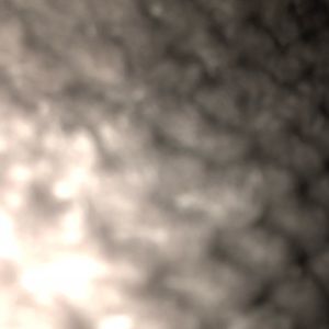 Meet your Posher, Alana